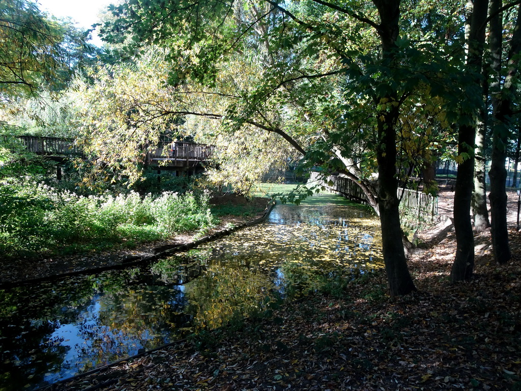 Canal at the east side of the Kasteelpark Born zoo