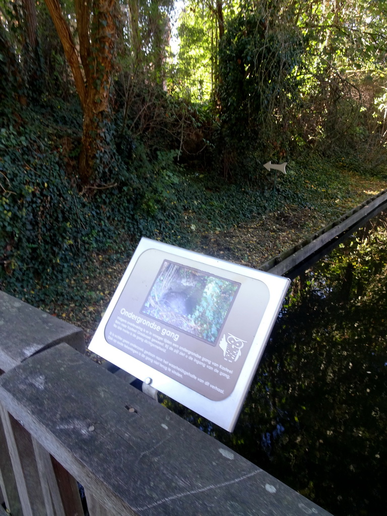 Entrance to an underground passage from the Kasteelpark Born zoo to the ruins of Castle Born, with explanation