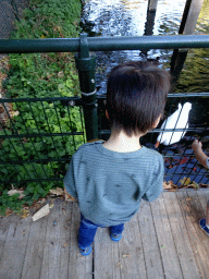 Max feeding Ducks at the Kasteelpark Born zoo
