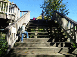 Max climbing the stairs to the walkway at the Kasteelpark Born zoo