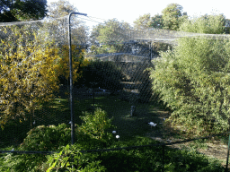 Exotic bird aviary at the Kasteelpark Born zoo, viewed from the walkway