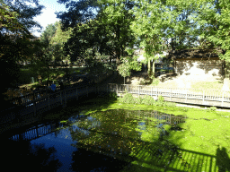 Canal and bridge at the Kasteelpark Born zoo, viewed from the walkway