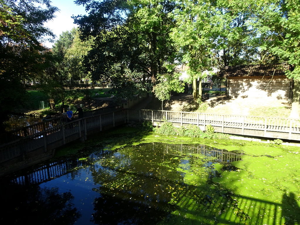 Canal and bridge at the Kasteelpark Born zoo, viewed from the walkway