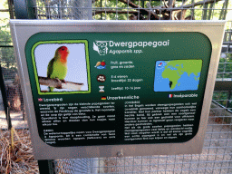 Explanation on the Lovebird at the Kasteelpark Born zoo