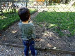 Max with a Tortoise at the Kasteelpark Born zoo
