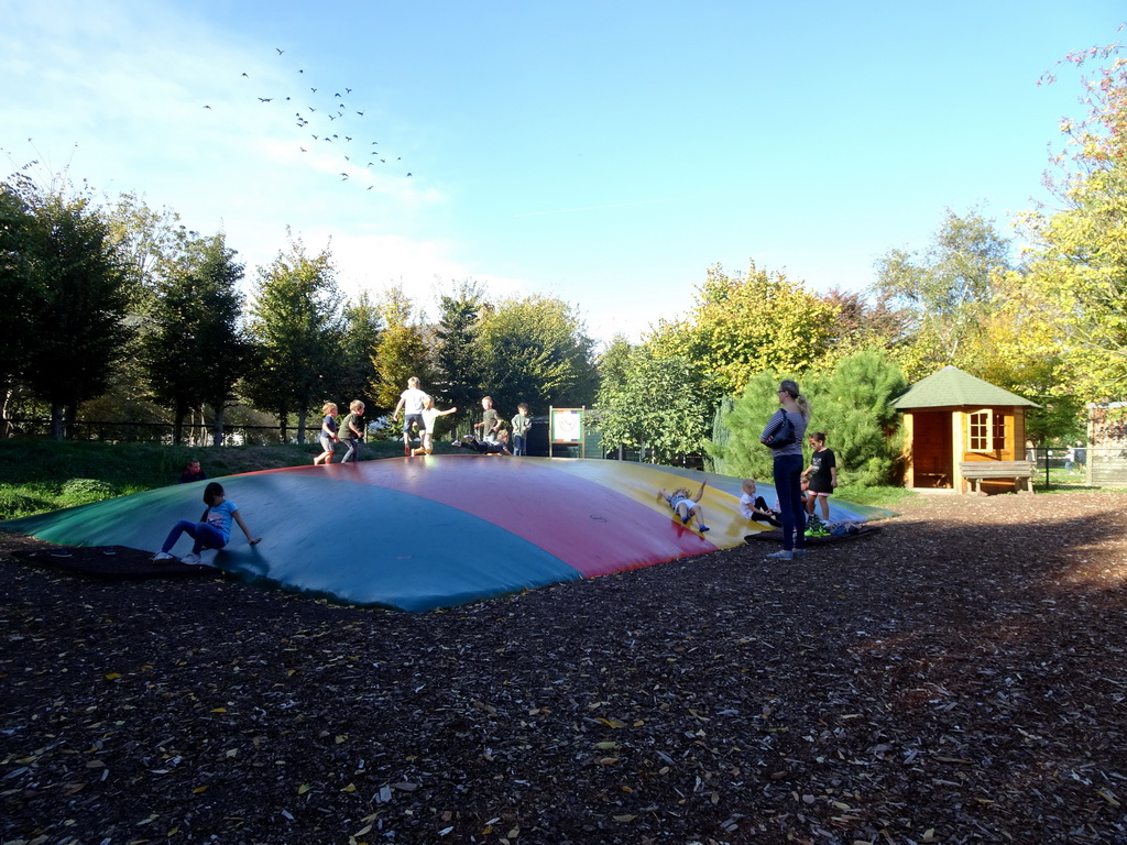 Max on the trampoline at the Kasteelpark Born zoo