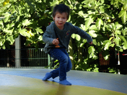 Max on the trampoline at the Kasteelpark Born zoo