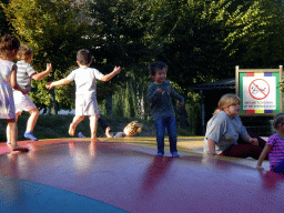 Max on the trampoline at the Kasteelpark Born zoo