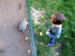 Max with a Tortoise at the Kasteelpark Born zoo