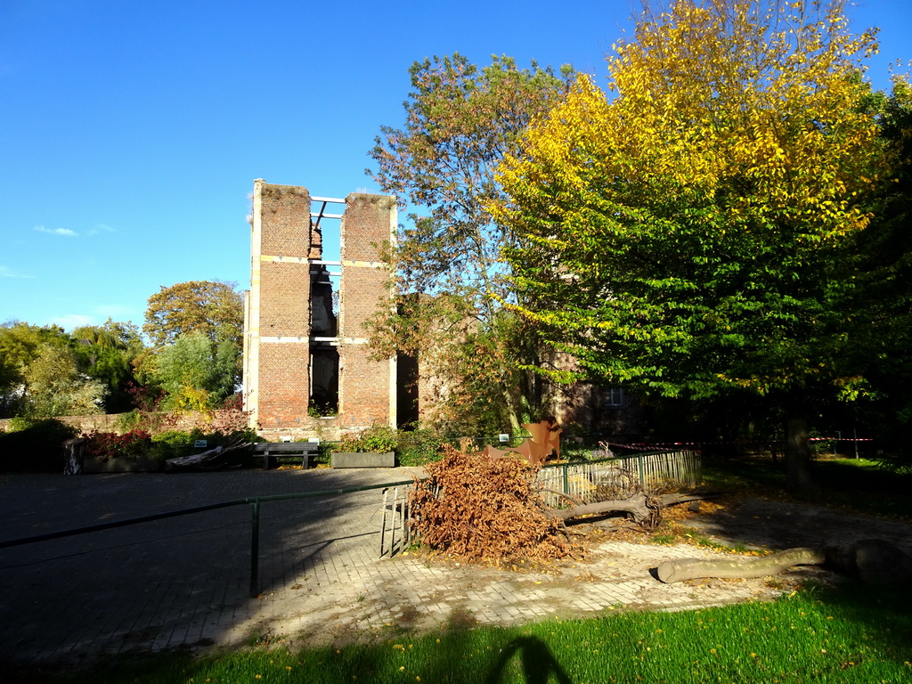 The southwest side of the ruins of Castle Born, viewed from the Kasteelpark Born zoo