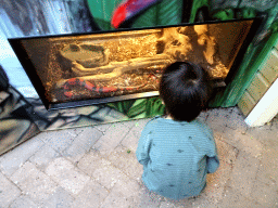 Max with a Snake in the Kriebelhuis `t Doezendpuëtje building at the Kasteelpark Born zoo