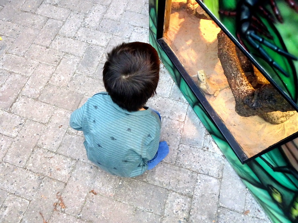 Max with a Lizard in the Kriebelhuis `t Doezendpuëtje building at the Kasteelpark Born zoo