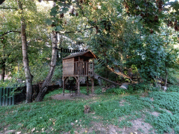 The Raccoon enclosure at the Kasteelpark Born zoo