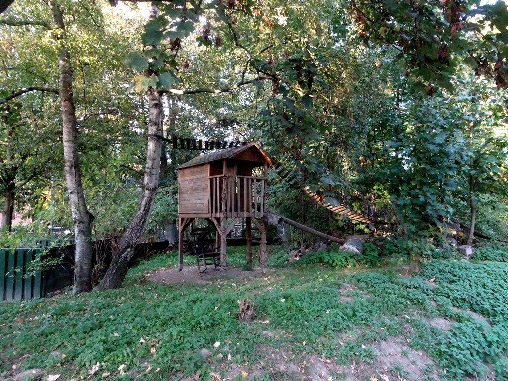 The Raccoon enclosure at the Kasteelpark Born zoo