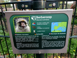 Explanation on the Barbary Macaque at the Kasteelpark Born zoo