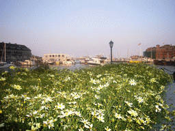 The harbour and flowering plants, from Christopher Columbus Park