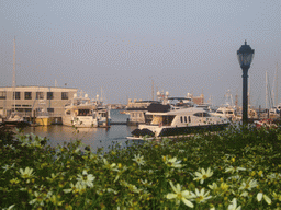 The harbour and flowering plants, from Christopher Columbus Park