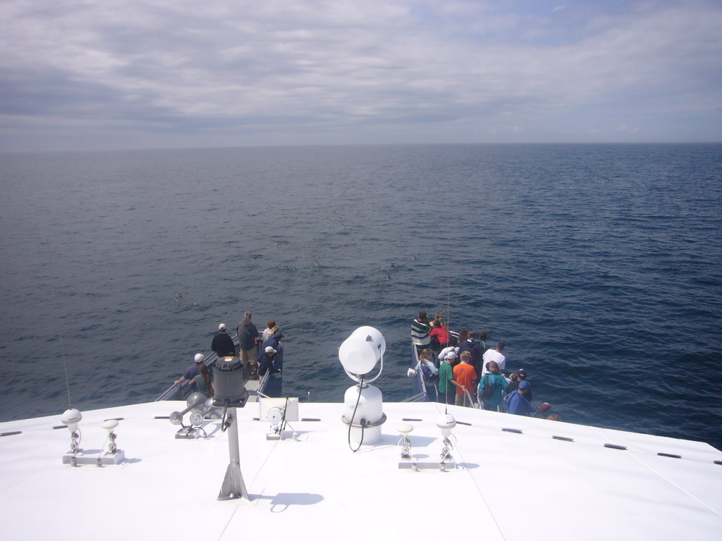 The front of the Whale Watch boat, from the upper deck