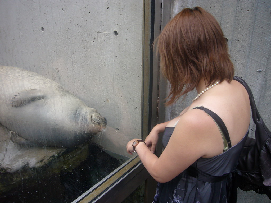 Miaomiao with a seal, at the New England Aquarium