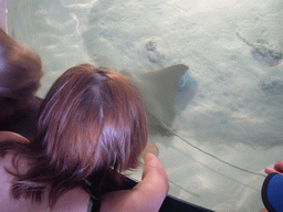 Miaomiao with a stingray, in the New England Aquarium