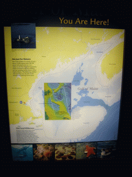 Explanation on the Gulf of Maine, in the New England Aquarium