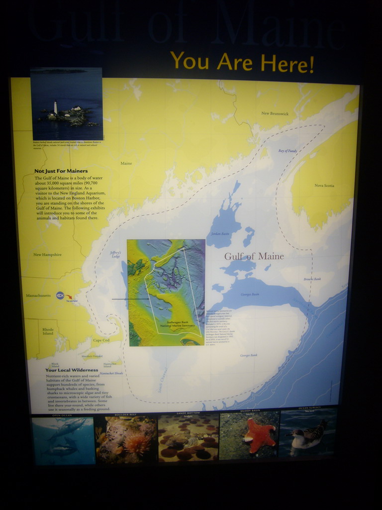 Explanation on the Gulf of Maine, in the New England Aquarium