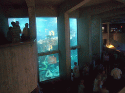 The Giant Ocean Tank, in the New England Aquarium
