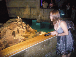 Miaomiao and penguins, in the New England Aquarium