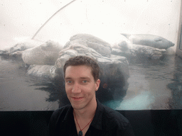 Tim with seals, at the New England Aquarium