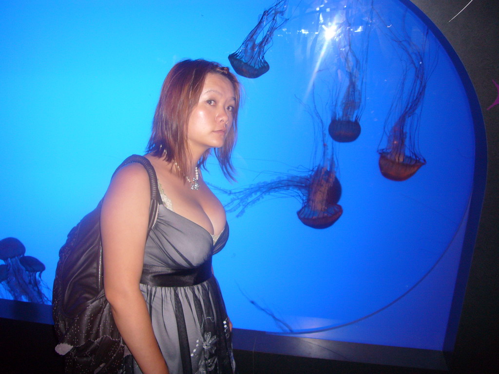 Miaomiao with jellyfish, in the New England Aquarium