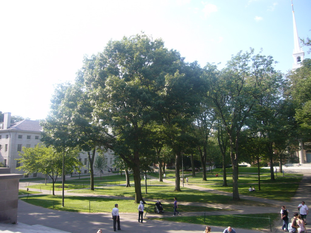 The Harvard Yard and Memorial Church, from the Widener Library, at Harvard