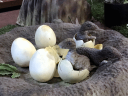 Statues of Maiasaura eggs at the Lower Floor of the Museum Building of the Oertijdmuseum