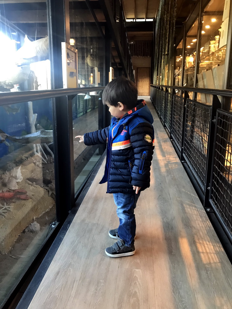 Max at the walkway from the Lower Floor to the Upper Floor at the Museum Building of the Oertijdmuseum