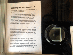 The oldest pearl of the Netherlands, at the Upper Floor of the Museum Building of the Oertijdmuseum, with explanation