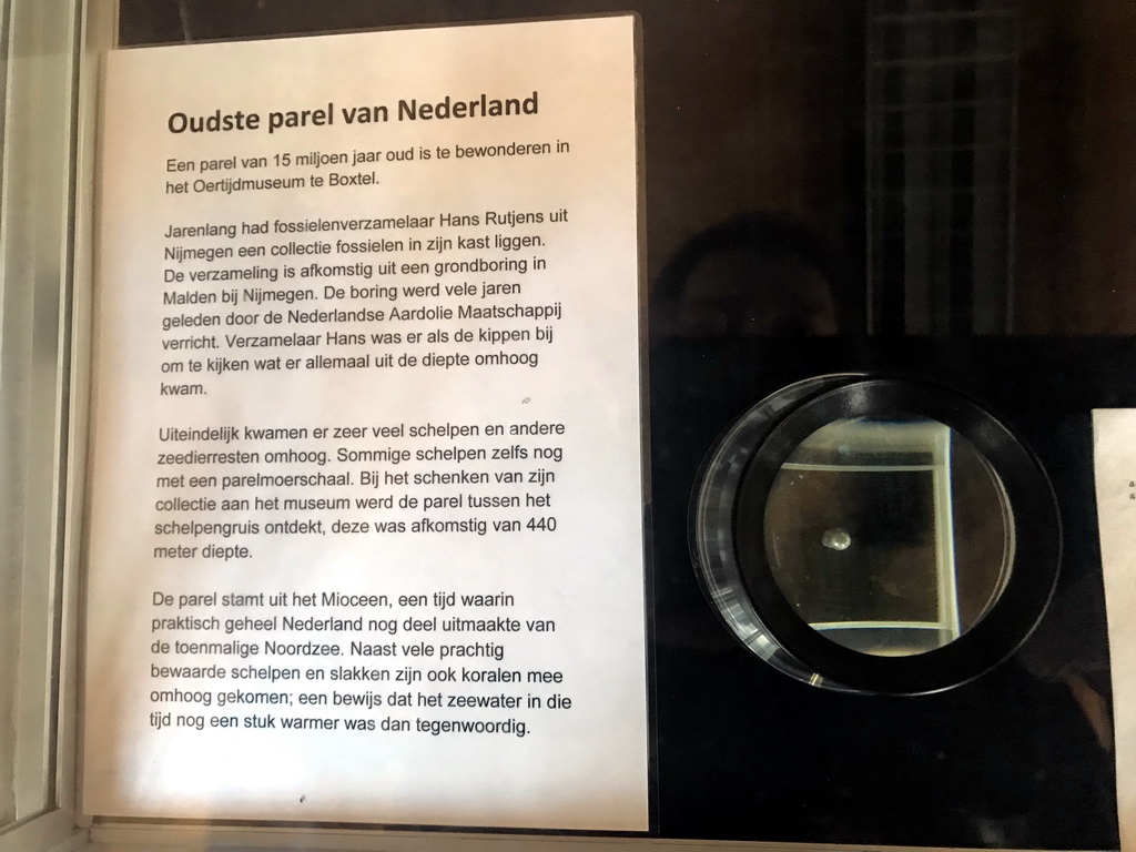 The oldest pearl of the Netherlands, at the Upper Floor of the Museum Building of the Oertijdmuseum, with explanation