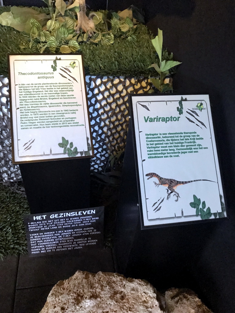 Explanation on the Thecodontosaurus and the Variraptor, at the Upper Floor of the Museum Building of the Oertijdmuseum