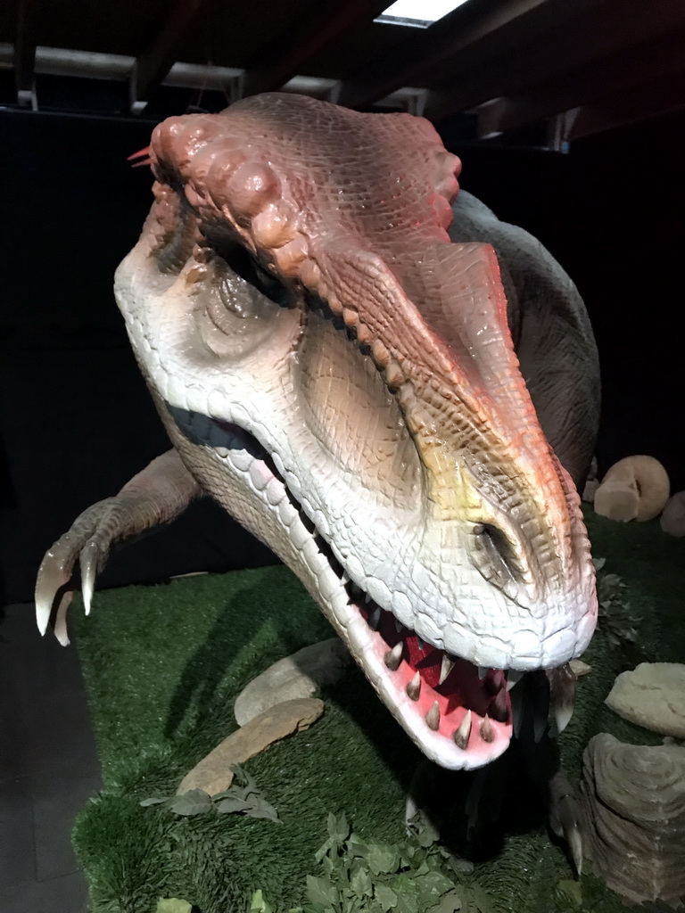 Head of the statue of a Utahraptor at the Upper Floor of the Museum Building of the Oertijdmuseum