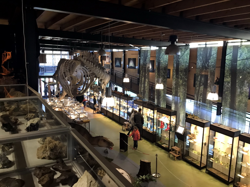 Skeleton of Casper the Sperm Whale above the Lower Floor of the Museum Building of the Oertijdmuseum, viewed from the Upper Floor