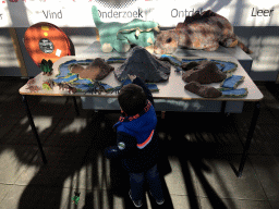 Max playing with dinosaur toys at the Middle Floor of the Dinohal building of the Oertijdmuseum