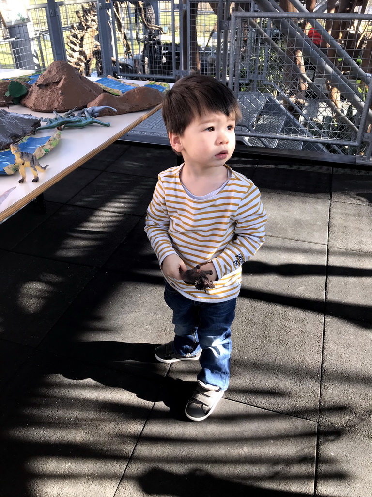 Max playing with dinosaur toys at the Middle Floor of the Dinohal building of the Oertijdmuseum