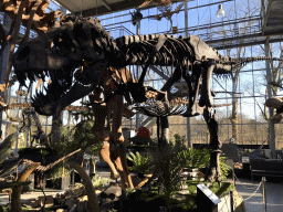 Skeleton of a Tyrannosaurus Rex at the Lower Floor of the Dinohal building of the Oertijdmuseum, with explanation