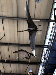 Statues of Pterosauruses hanging from the ceiling of the Dinohal building of the Oertijdmuseum