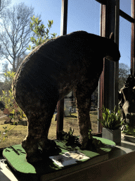 Statue of a Chalicotherium in the hallway from the Dinohal building to the Museum building of the Oertijdmuseum