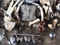 Miniature prehistoric camp site in the hallway from the Dinohal building to the Museum building of the Oertijdmuseum