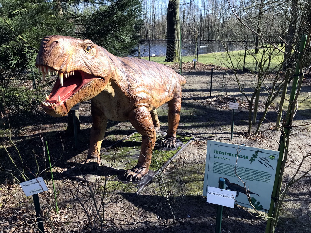 Statue of an Inostrancevia in the Garden of the Oertijdmuseum, with explanation