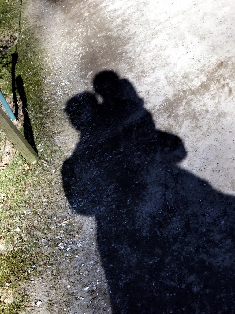 Shadow of Tim and Max in the Garden of the Oertijdmuseum