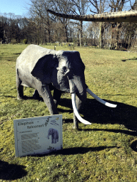 Statue of a Pygmy Elephant in the Garden of the Oertijdmuseum, with explanation