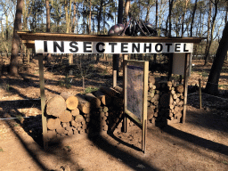 Insect Hotel in the Oertijdwoud forest of the Oertijdmuseum