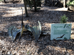 Statue of a Pteranodon in the Oertijdwoud forest of the Oertijdmuseum, with explanation