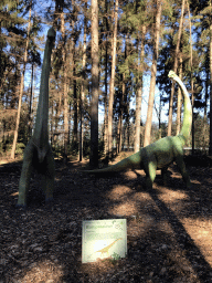 Statues of Europasauruses in the Oertijdwoud forest of the Oertijdmuseum, with explanation